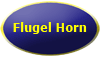 Flugel Horn